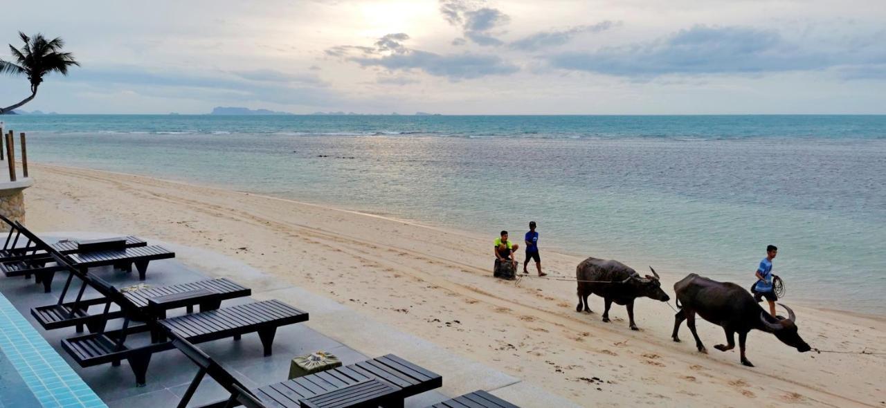 Mimosa & Ko Samui