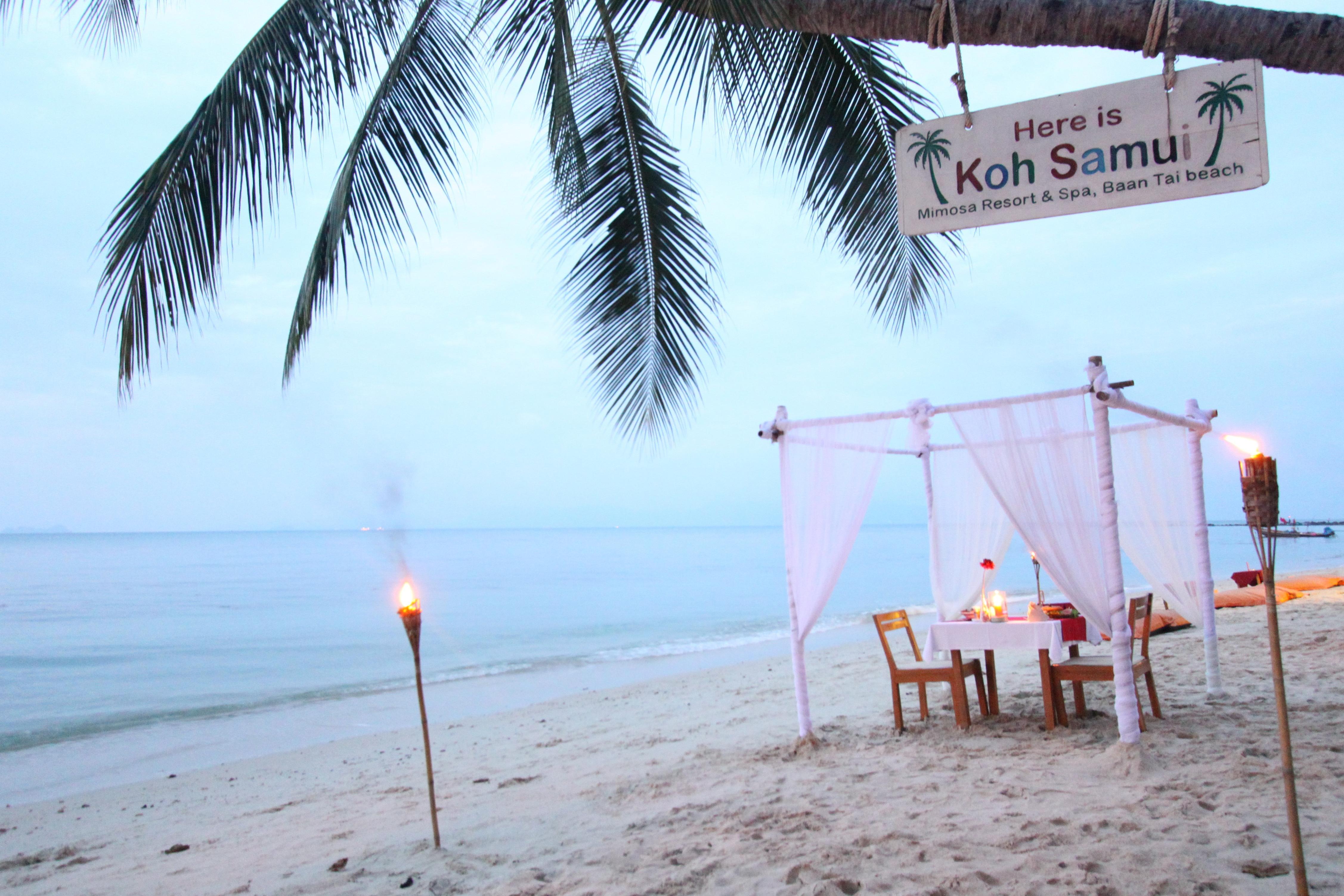 Resort Mimosa & Ko Samui