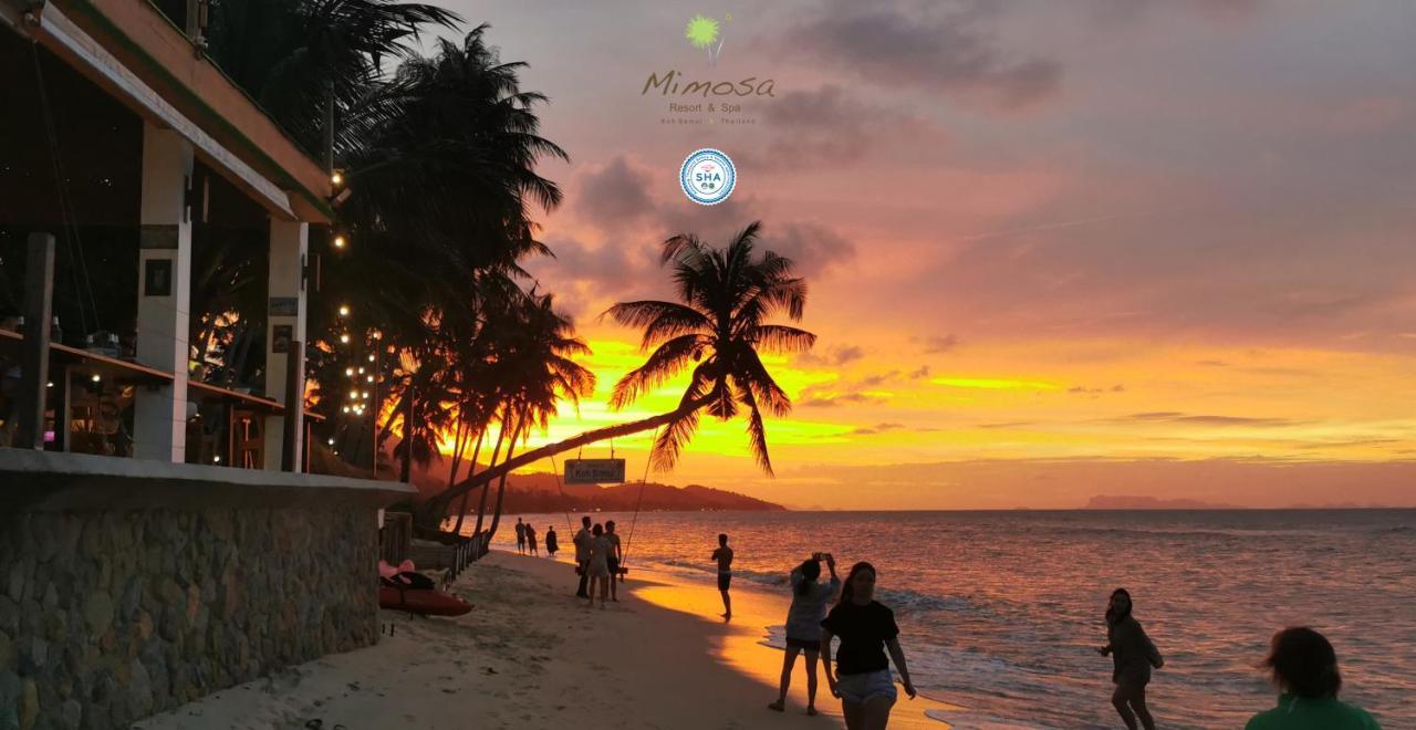 Mimosa Resort&spa Resort