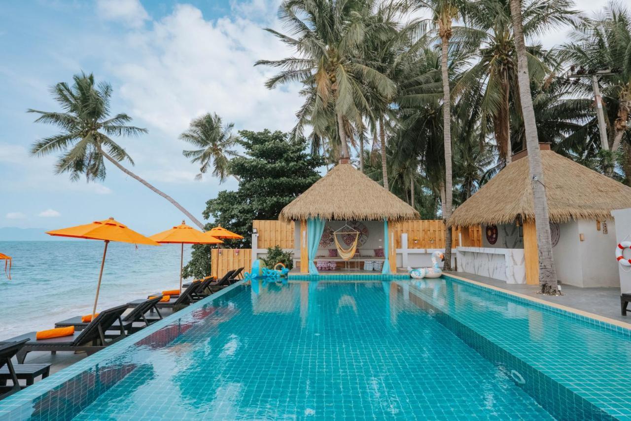 Mimosa Resort&spa