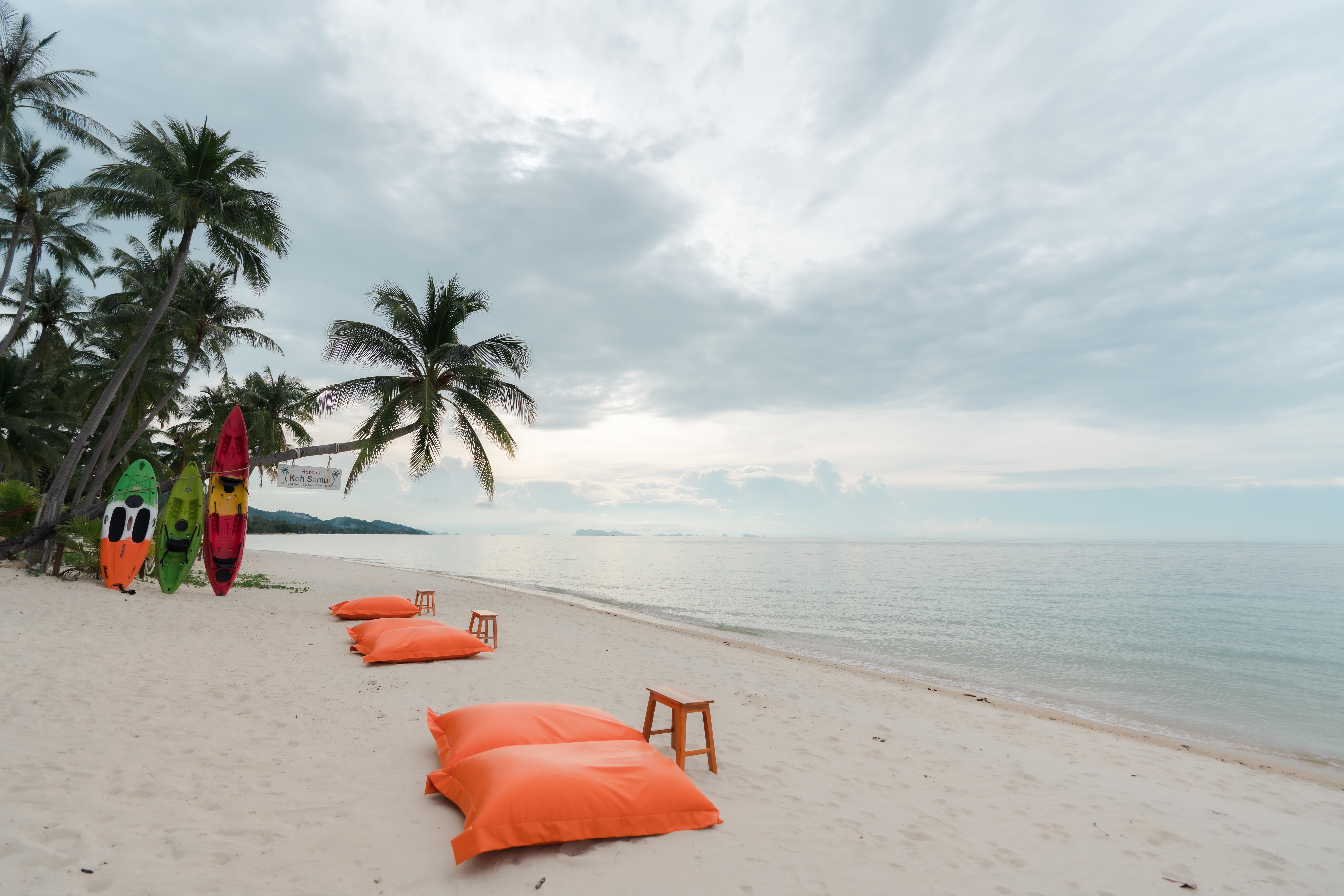 Mimosa Resort&spa 4*