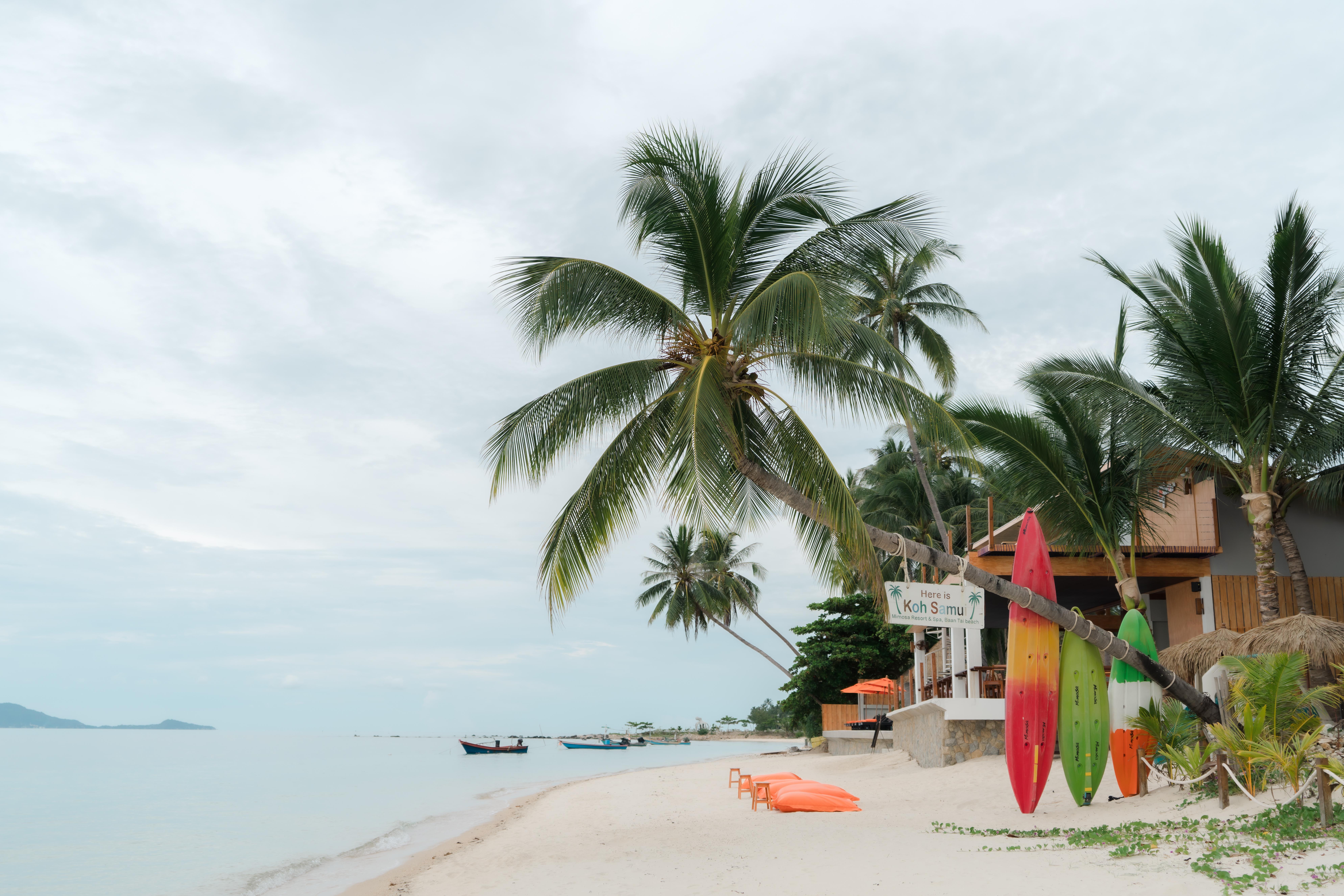 Resort Mimosa Resort&spa 4*